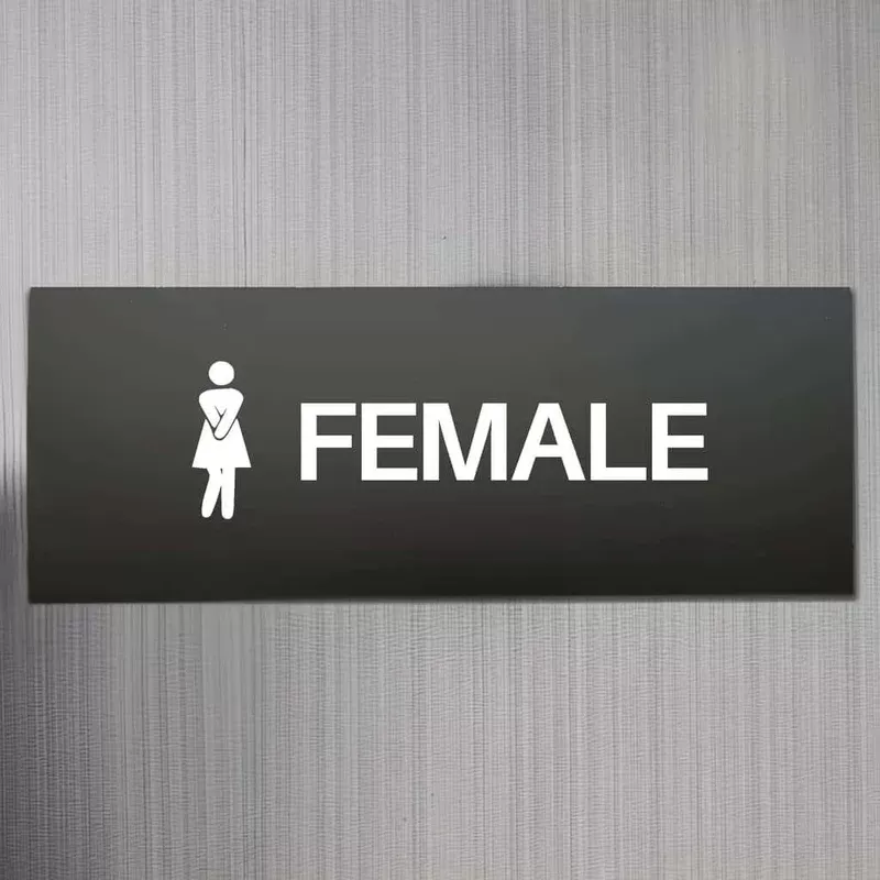 Comic Female Toilet Sign v2