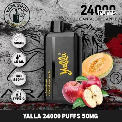 YALLA 24000 Puffs 50MG Nicotine Disposable Vape Buy in Dubai UAE - Blue razz/blueberry mint, cantaloupe/cantaloupe apple (3D1892)