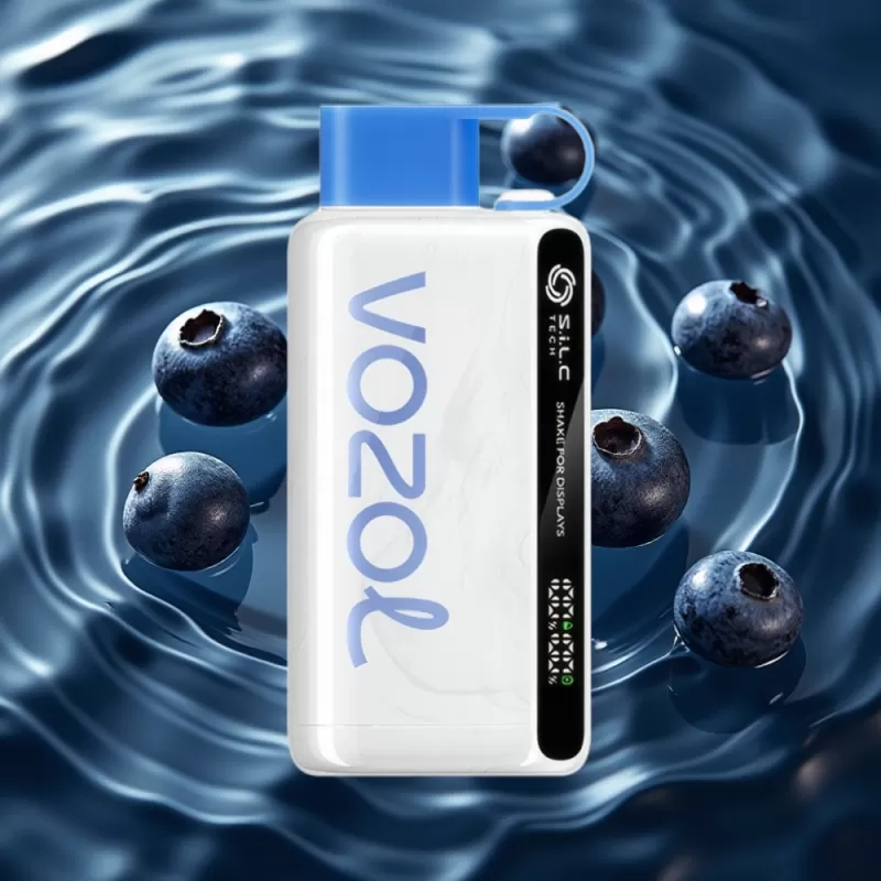 VOZOL STAR 9000/12000 Disposable Vape Blueberry Storm – 650mAh, 30% Faster Charge, Recycled Plastic - Bangvapeaustralia