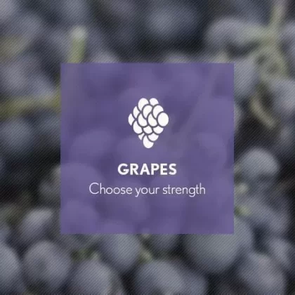 Grape By Blast E-Liquid 10ml - 18mg