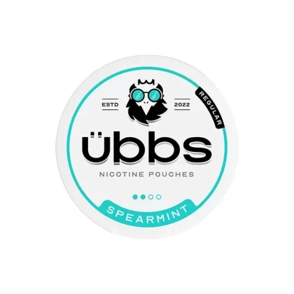 6 mg Übbs Spearmint-Nikotinbeutel – 20 Stück, normale Stärke - Ejuicewarehouse