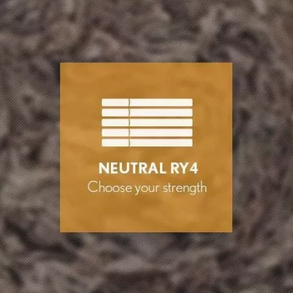 RY4 By Blast E-Liquid 10ml