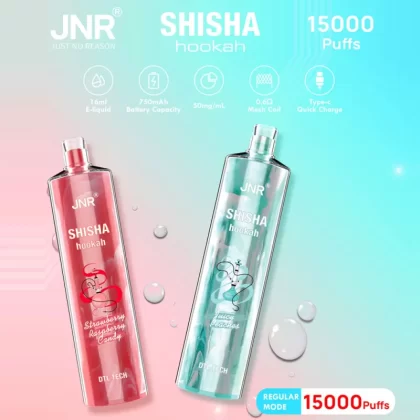 JNR Shisha Hookah 15K Disposable E-Hookah - 15000 Puffs - Strawberry Kiwi