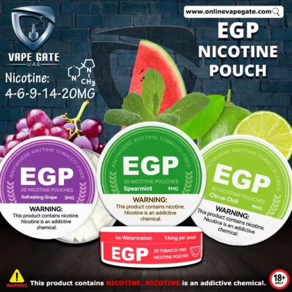 EGP NICOTINE POUCH (SACHET) - Blueberry ( 2 Pouch Only )