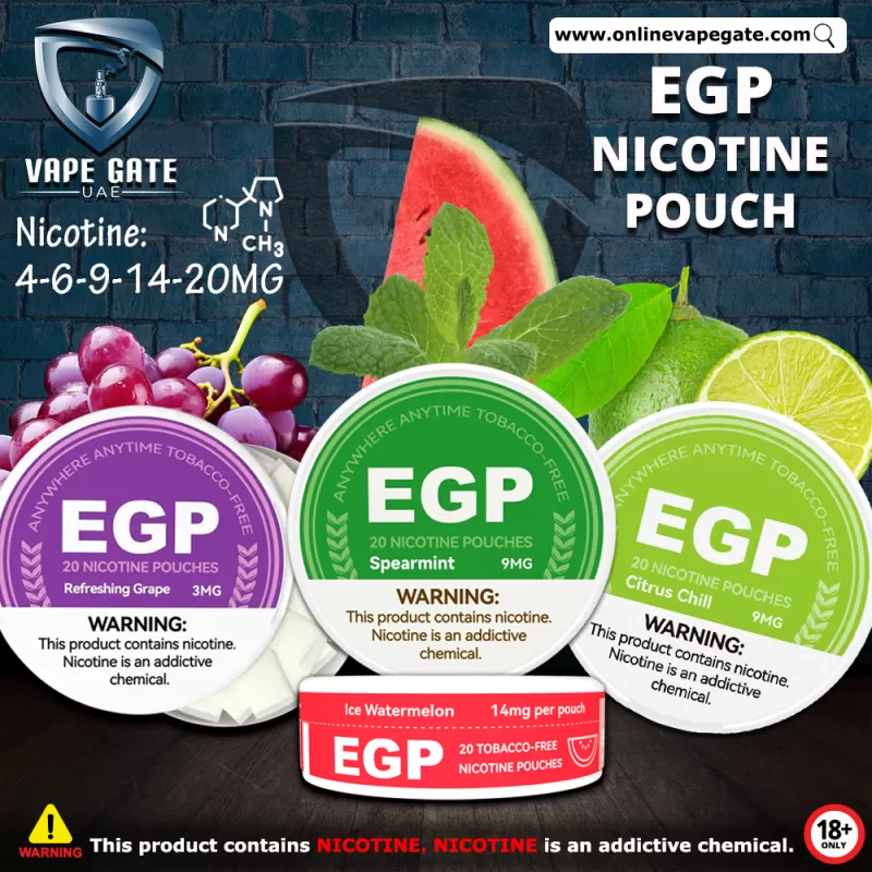 EGP NICOTINE POUCH (SACHET) - Blueberry ( 2 Pouch Only )