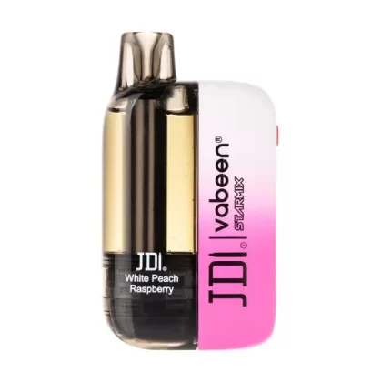 JDI Vabeen Starmix 16000 Prefilled Pod Kit - Blueberry, Miami Mint