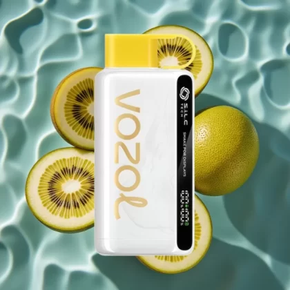 VOZOL STAR 9000/12000 Disposable Vape with 650mAh Battery, 30% Faster Charge, Kiwi Passion Fruit Guava Flavor - Bangvapeaustralia