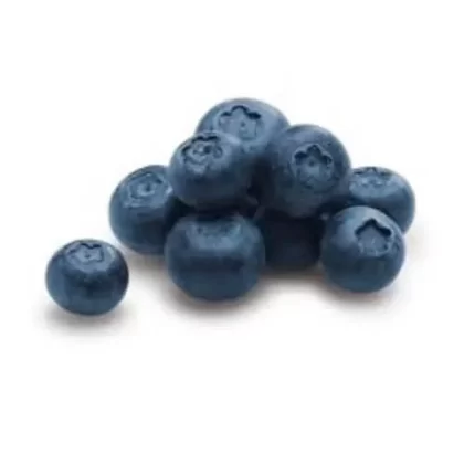 The Flavor Apprentice – Blueberry Extra 15mL - Vapecraftinc