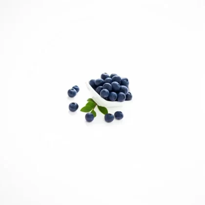 TFA Arándano Silvestre Sabor Artificial Soluble en Agua