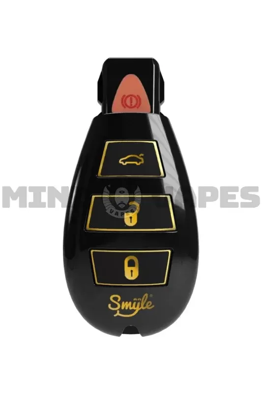 Smyle Labs Car Key Penjamin Cart Battery