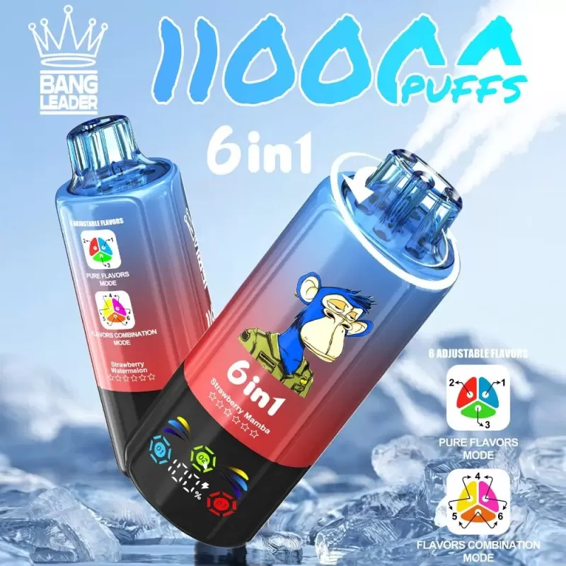 Bang Leader 110K | 110000 puffs, 6 option switching modes, LED screen, smart bulk disposable vape - Aiviouvapes