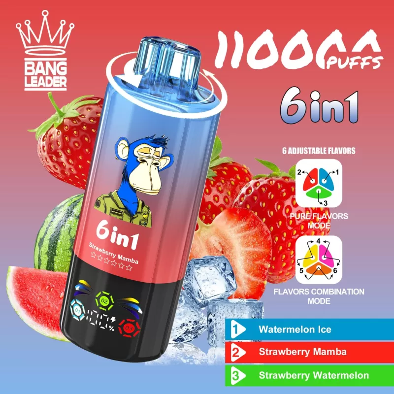 Bang Leader 110K | 110000 puffs, 6 option switching modes, LED screen, smart bulk disposable vape - Aiviouvapes - Image 2