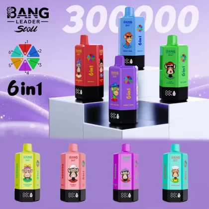 Bang Leader 300K – 300K Puffs 6 In 1 Flavors 650mAh Disposable Vape