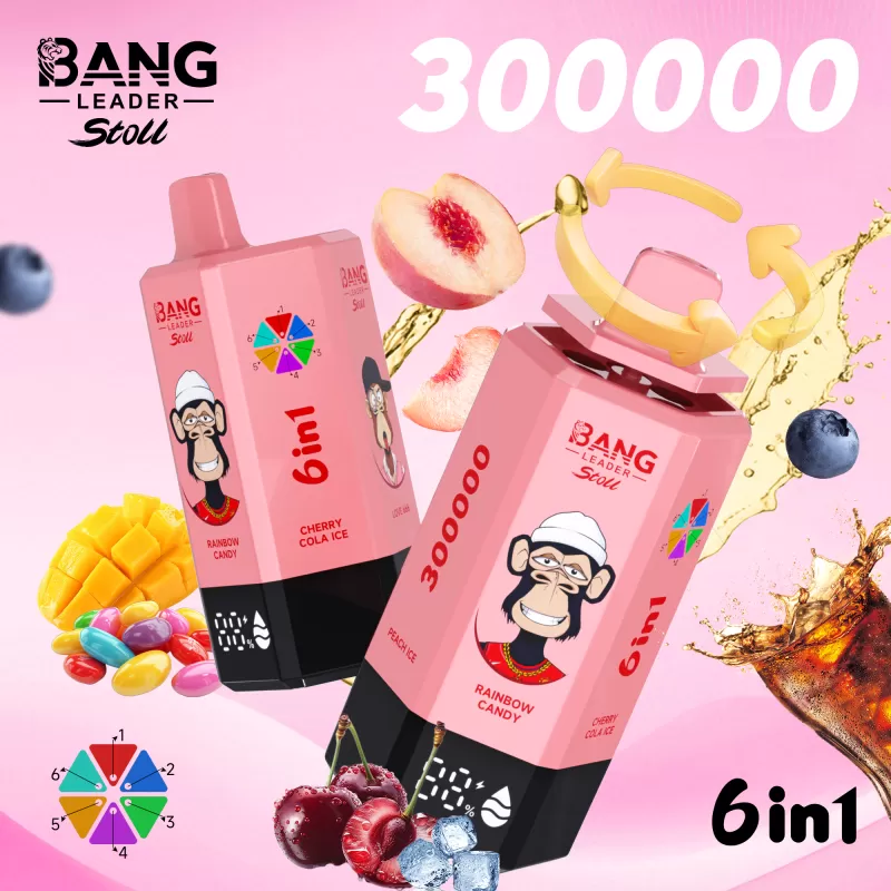 Bang Leader 300K – 300K Puffs 6 In 1 Flavors 650mAh Disposable Vape - Image 2