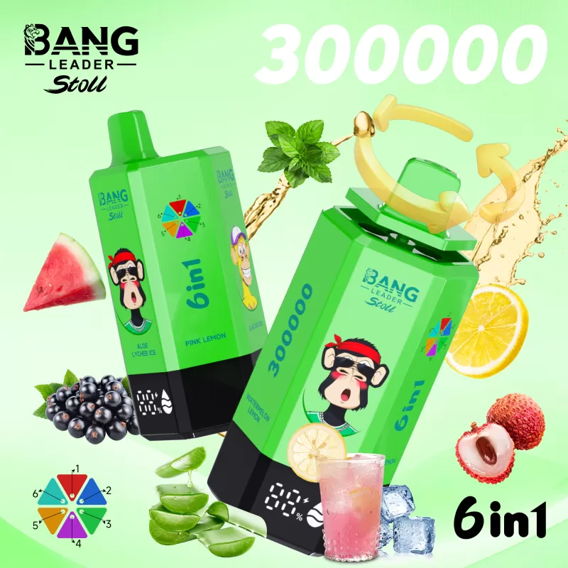 Bang Leader 300K – 300K Puffs 6 In 1 Flavors 650mAh Disposable Vape - Image 3