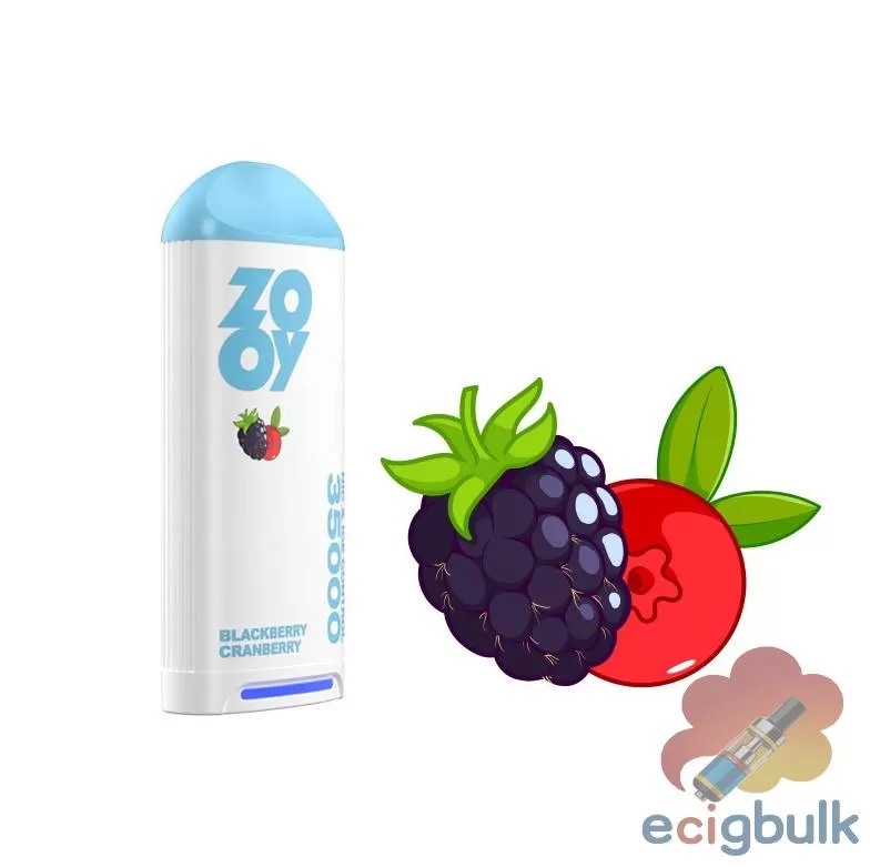 ZOOY FIRZEN 35000 Adjustable Nic & Ice Control Disposable Vape