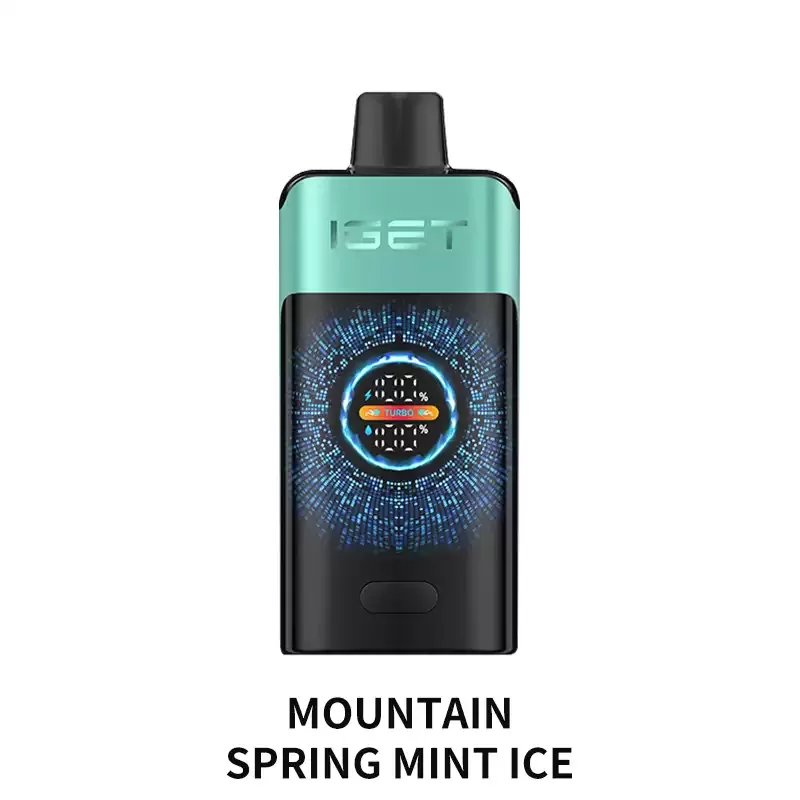 IGET ONE 12000 Puffs – Mountain Spring Mint Ice - Ozvapeone (7728C2)