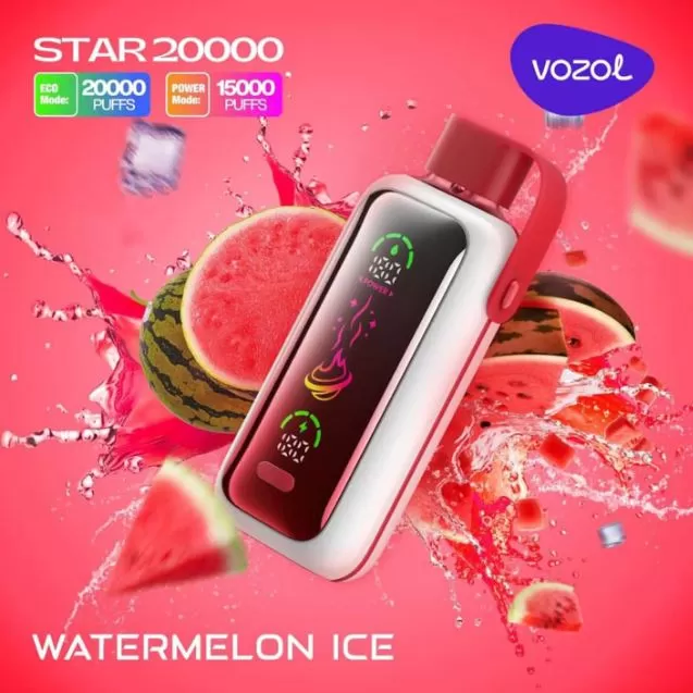 Vozol Star Rechargeable Disposable Vape (20,000 Puffs) - Blueberry Storm / 50 mg - Image 2