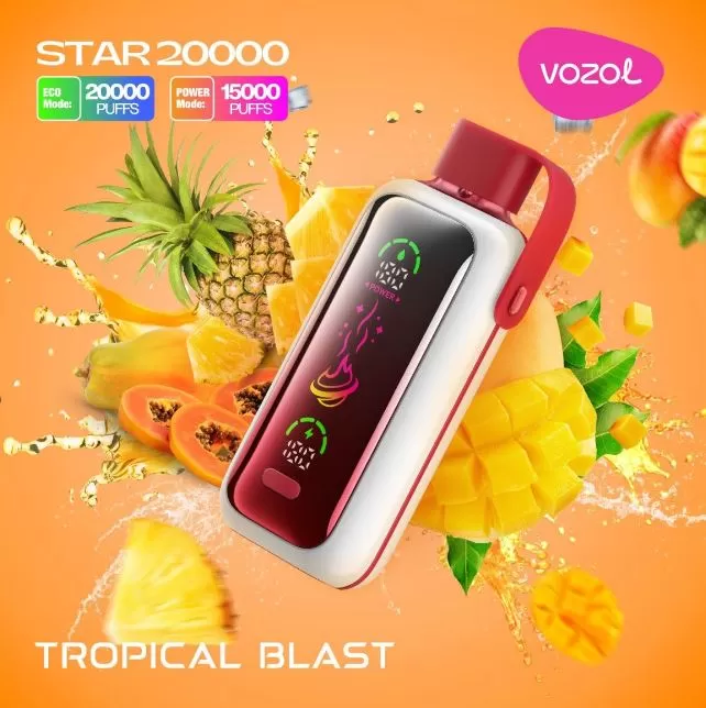 Vozol Star Rechargeable Disposable Vape (20,000 Puffs) - Blueberry Storm / 50 mg - Image 3