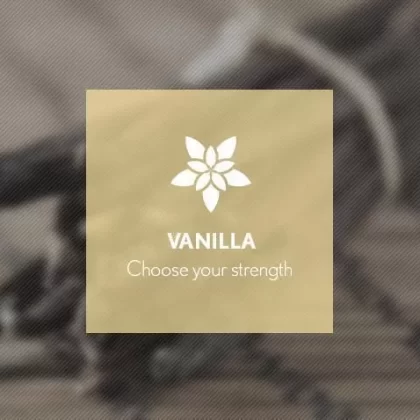 Vanilla By Blast E-Liquid 10ml - 12mg