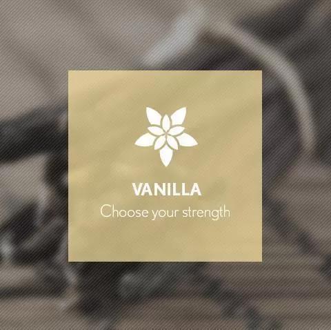 Vanilla By Blast E-Liquid 10ml - 12mg
